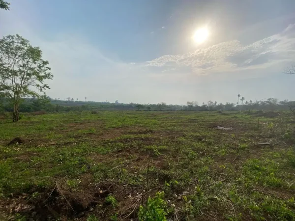 Elysian Farm And Resort Commercial Plots - Image 4