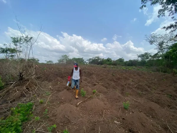 Elysian Farm And Resort Commercial Plots - Image 5